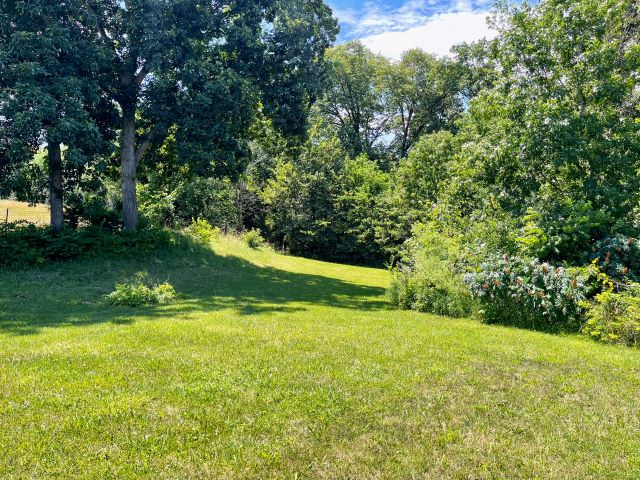 2073 Graham Ave., Mt. Pleasant, Iowa 52641, ,Acreages,Acreages For Sale,Graham Ave.,1355